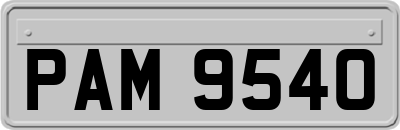 PAM9540