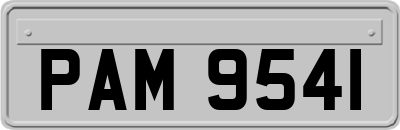 PAM9541