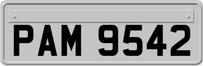 PAM9542