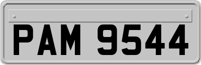 PAM9544