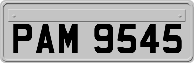 PAM9545