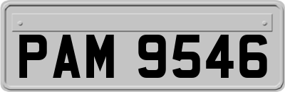 PAM9546