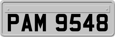PAM9548