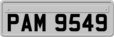 PAM9549