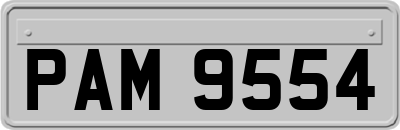 PAM9554