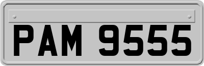 PAM9555