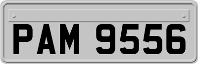 PAM9556