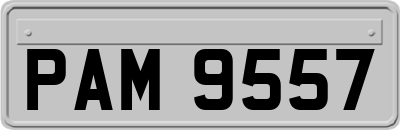 PAM9557
