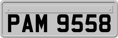 PAM9558