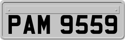PAM9559