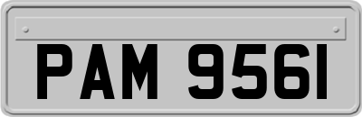 PAM9561