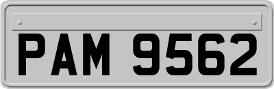 PAM9562