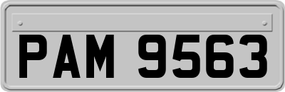 PAM9563