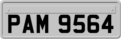 PAM9564