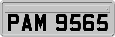 PAM9565