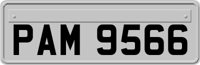 PAM9566