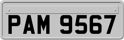PAM9567