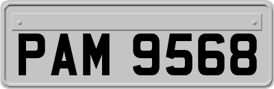 PAM9568