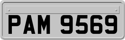 PAM9569
