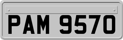 PAM9570