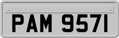 PAM9571