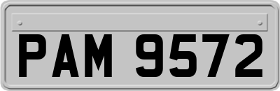 PAM9572