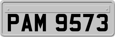 PAM9573