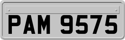 PAM9575