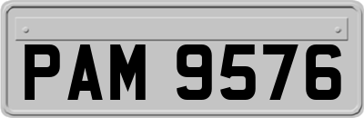 PAM9576