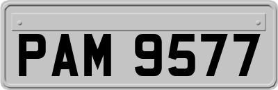 PAM9577