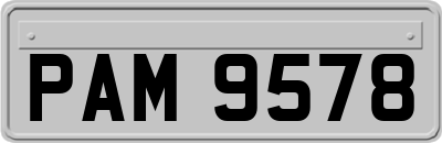 PAM9578