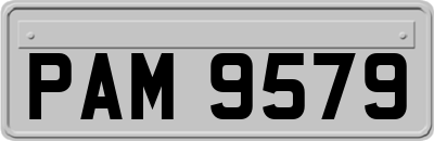 PAM9579