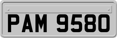 PAM9580