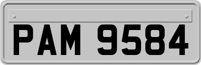 PAM9584