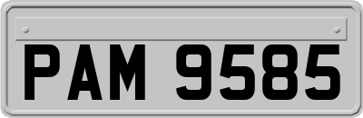 PAM9585