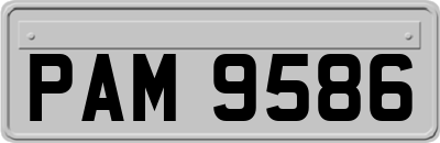 PAM9586