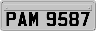 PAM9587