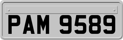 PAM9589