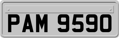PAM9590