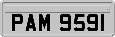PAM9591