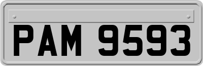 PAM9593