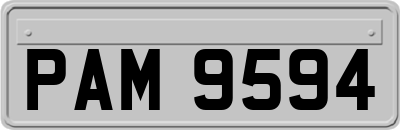 PAM9594