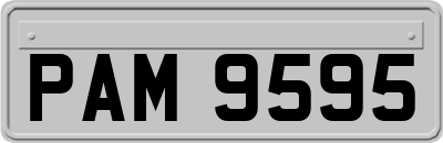 PAM9595