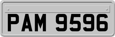 PAM9596