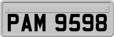 PAM9598