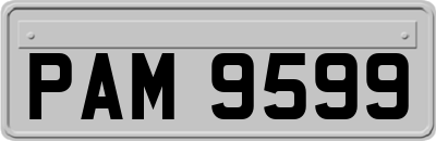 PAM9599