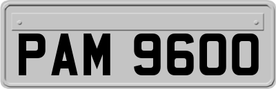 PAM9600