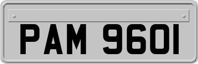 PAM9601