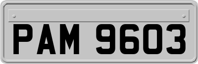 PAM9603