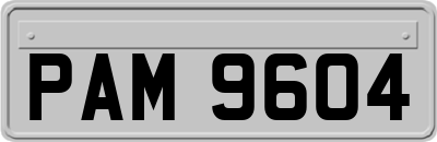 PAM9604